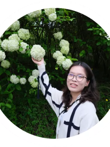 yifan yang