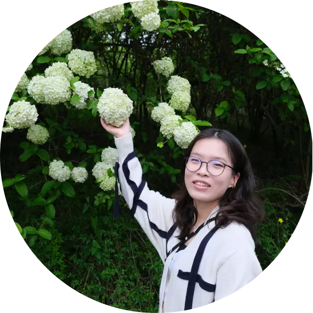 yifan yang